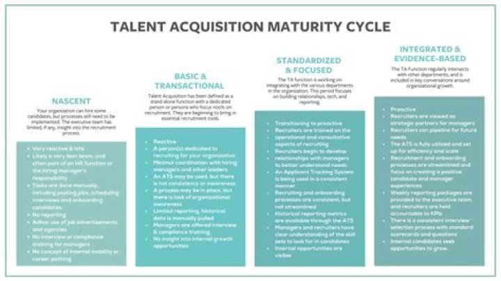 A Journey Of Talent, Maturity, And Potential