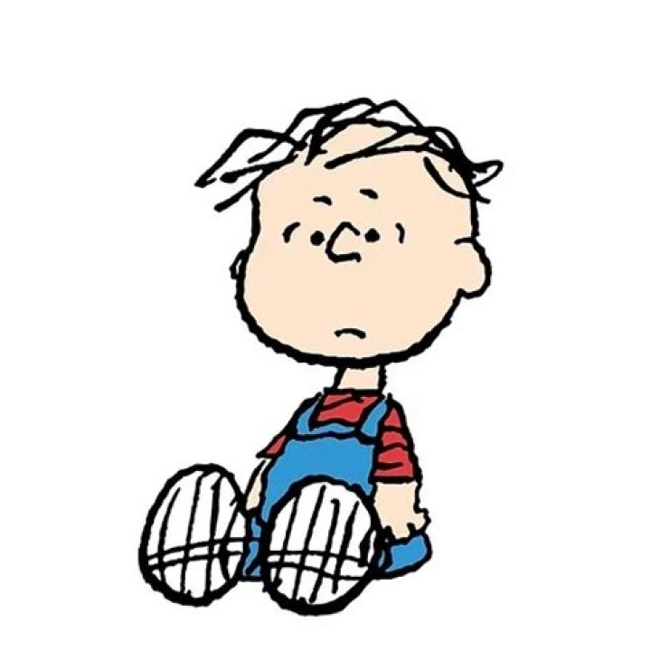 Rerun Van Pelt