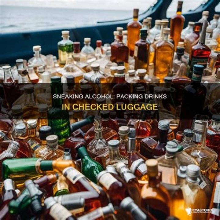 Unveiling The Ultimate Guide To Sneaking Alcohol Into Lollapalooza